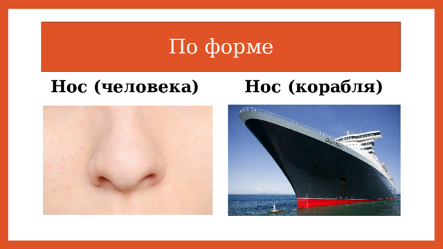 По форме Нос (корабля) Нос (человека) 