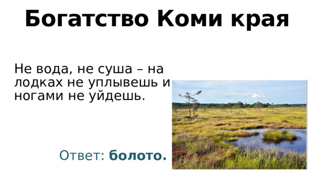 Богатство Коми края Не вода, не суша – на лодках не уплывешь и ногами не уйдешь. Ответ: болото. 