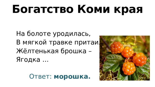 Богатство Коми края На болоте уродилась, В мягкой травке притаилась. Жёлтенькая брошка – Ягодка … Ответ: морошка. 