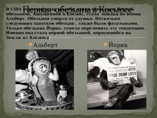 В США основной удар на себя взяли обезьяны. Первой обезьяной, запущенной в Космос, стала макака по имени Альберт. Обезьяна умерла от удушья. Несколько следующих запусков обезьян , также были фатальными. Только обезьяна Йорик, сумела переломить эту тенденцию. Именно она стала первой обезьяной, вернувшейся на Землю из Космоса . Йорик Альберт 