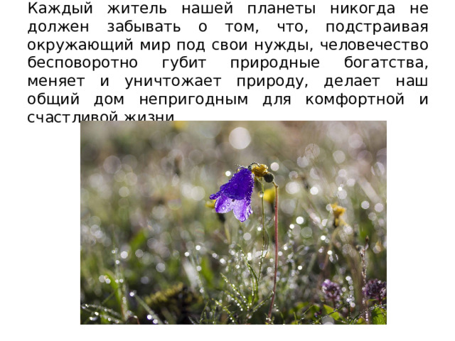 Каждый житель нашей планеты никогда не должен забывать о том, что, подстраивая окружающий мир под свои нужды, человечество бесповоротно губит природные богатства, меняет и уничтожает природу, делает наш общий дом непригодным для комфортной и счастливой жизни. 
