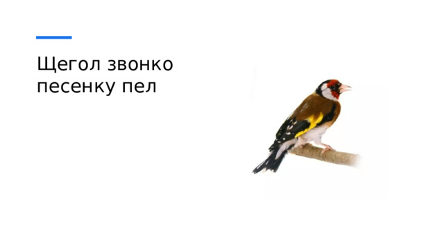 Щегол звонко песенку пел 
