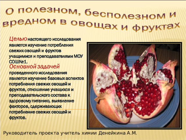 Руководитель проекта учитель химии Денейкина А.М. 