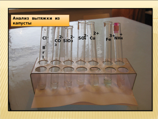 Анализ вытяжки из капусты 2+ + 3+ 2- 2- 2- - С u SO 4 Cl Br I NH 4 Fe SiO 3 CO 3 - - 