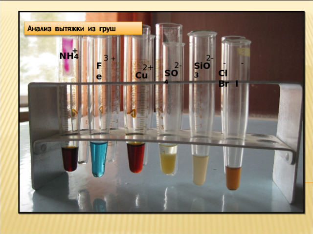 + + NH 4 NH 4 2- 2- 3 + 3 + - - - - - - 2- Fe SiO 3 SiO 3 2- Fe 2+ 2+ SO 4 Cl Br I Cl Br I SO 4 С u С u 