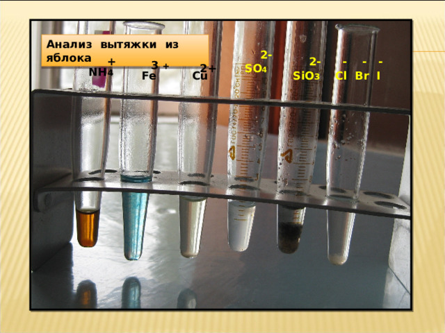 Анализ вытяжки из яблока 2- + 2- - - - 3 + SO 4 2+ NH 4 Fe SiO 3 Cl Br I С u 
