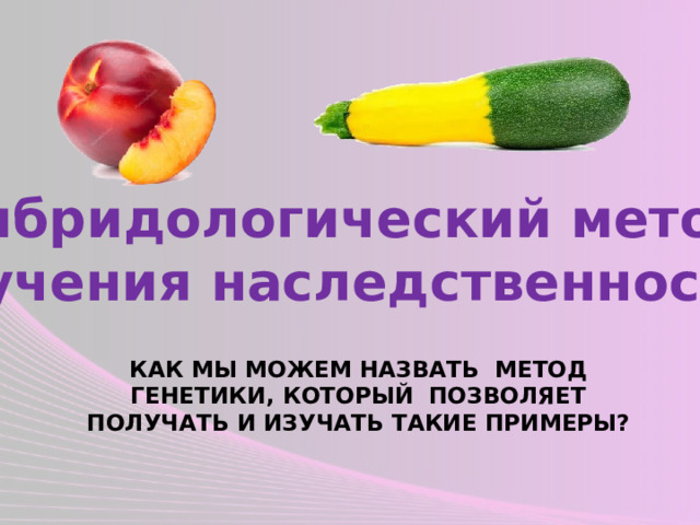 Гибридологический метод изучения наследственности. Как мы можем назвать метод генетики, который позволяет получать и изучать такие примеры? 