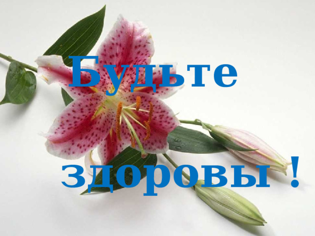  Будьте  здоровы !  