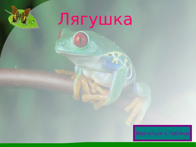 Лягушка  Вернуться к таблице  
