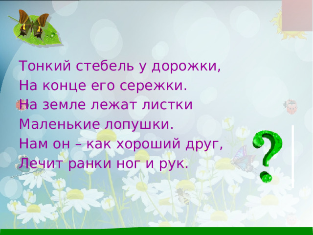 Тонкий стебель у дорожки, На конце его сережки. На земле лежат листки Маленькие лопушки. Нам он – как хороший друг, Лечит ранки ног и рук. 