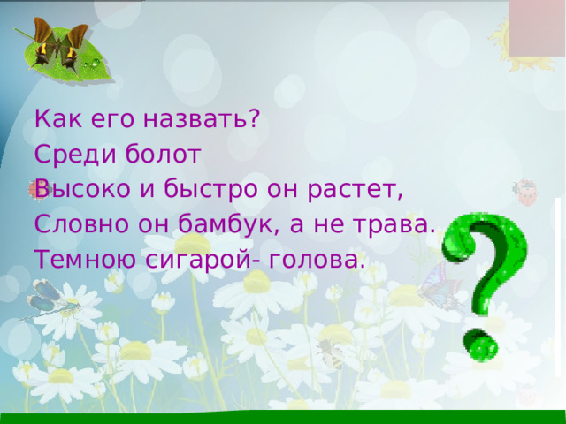 Как его назвать? Среди болот Высоко и быстро он растет, Словно он бамбук, а не трава. Темною сигарой- голова. 