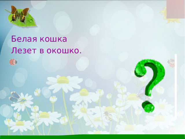 Белая кошка Лезет в окошко. 