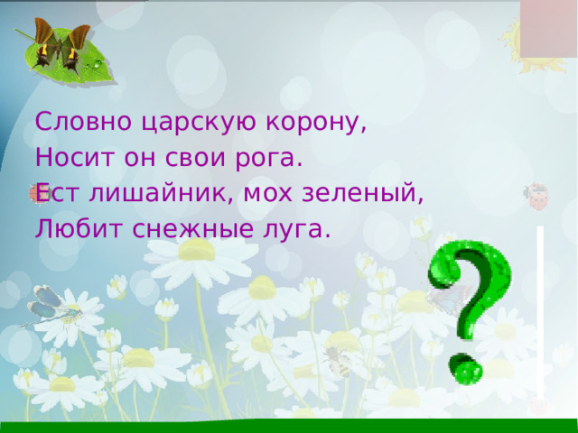 Словно царскую корону, Носит он свои рога. Ест лишайник, мох зеленый, Любит снежные луга. 