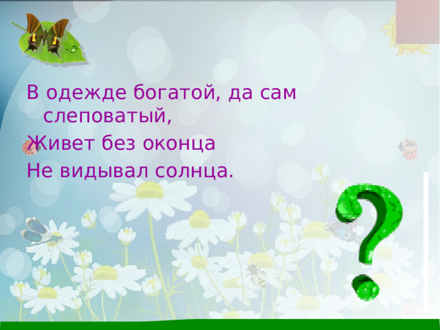 В одежде богатой, да сам слеповатый, Живет без оконца Не видывал солнца. 