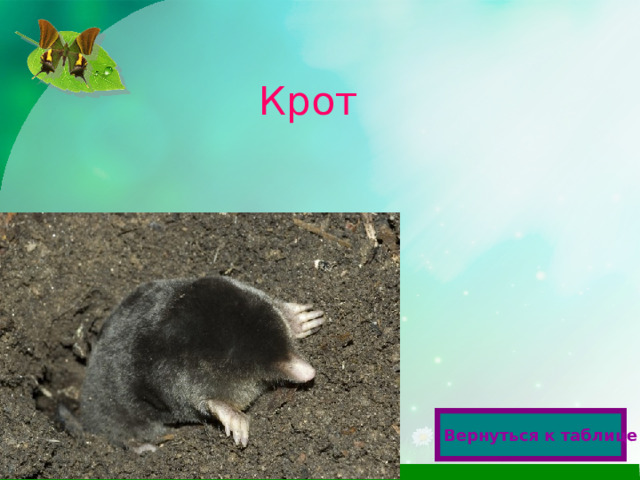 Крот  Вернуться к таблице  
