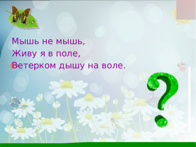 Мышь не мышь, Живу я в поле, Ветерком дышу на воле. 
