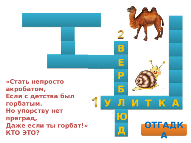          В        Е  Р     «Стать непросто акробатом,  Если с детства был горбатым.  Но упорству нет преград,  Даже если ты горбат!»  КТО ЭТО?    Б  Л А К Т И У Ю Д ОТГАДКА 
