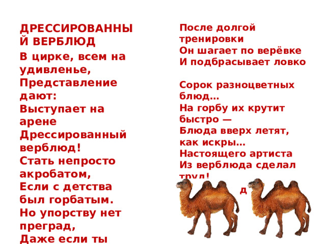 После долгой тренировки  Он шагает по верёвке  И подбрасывает ловко  Сорок разноцветных блюд…  На горбу их крутит быстро —  Блюда вверх летят, как искры…  Настоящего артиста  Из верблюда сделал труд! ДРЕССИРОВАННЫЙ ВЕРБЛЮД  Андрей Усачев. В цирке, всем на удивленье,  Представление дают:  Выступает на арене  Дрессированный верблюд!  Стать непросто акробатом,  Если с детства был горбатым.  Но упорству нет преград,  Даже если ты горбат!    