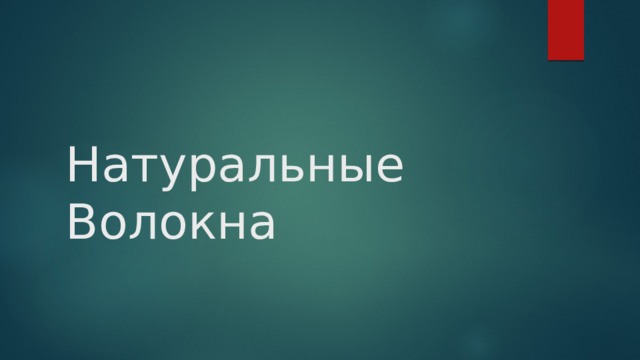 Натуральные Волокна 