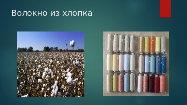 Волокно из хлопка 