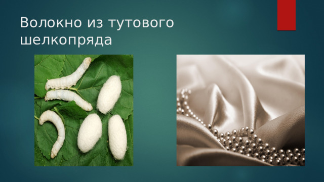 Волокно из тутового шелкопряда 