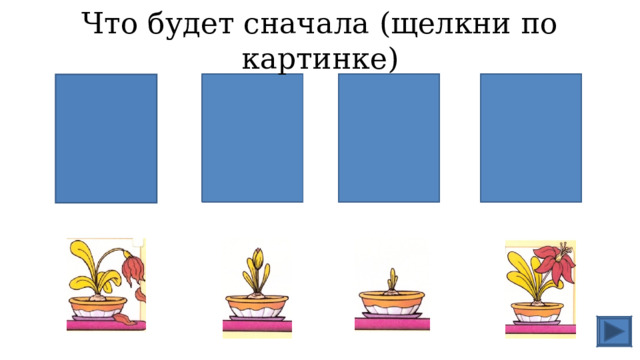 Что будет сначала (щелкни по картинке) 