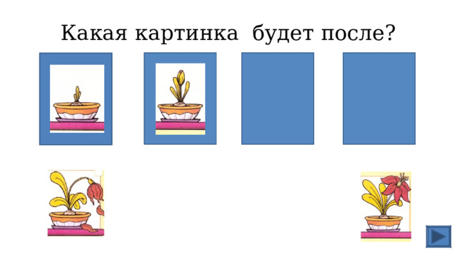 Какая картинка будет после? 