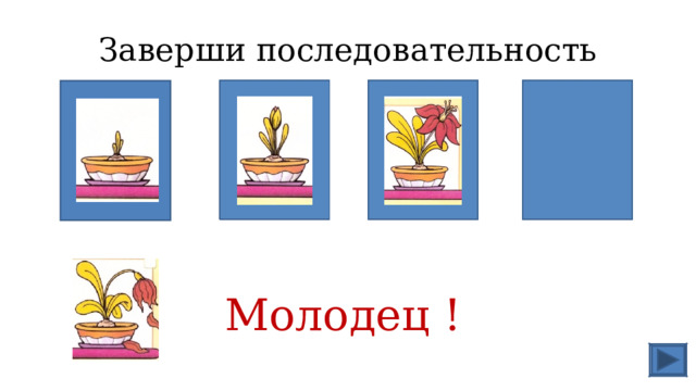 Заверши последовательность Молодец ! 