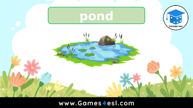 pond 
