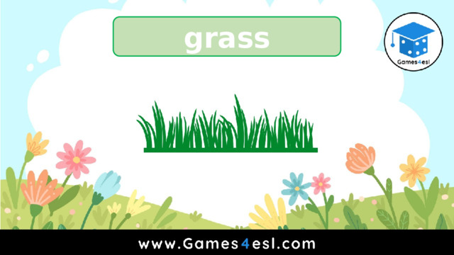 grass 