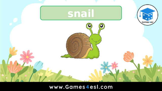 snail 