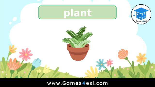 plant 