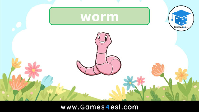 worm 