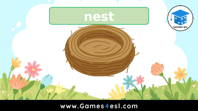 nest 