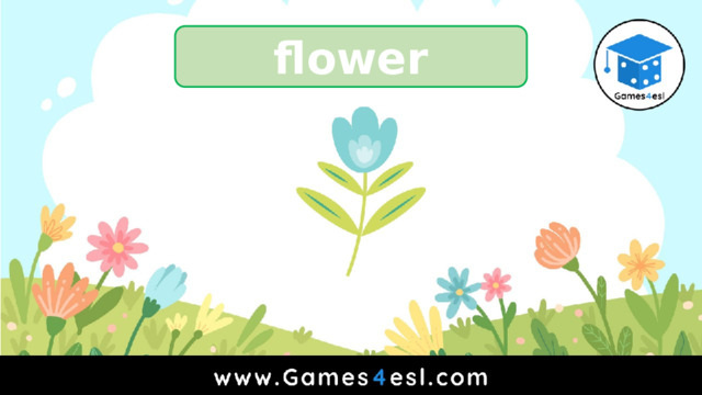 flower 