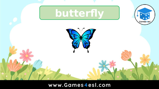 butterfly 