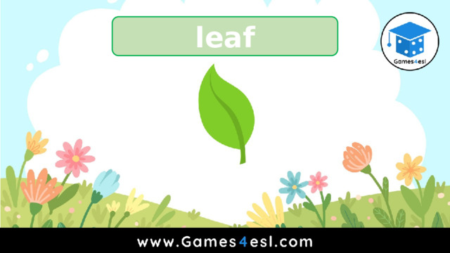 leaf 