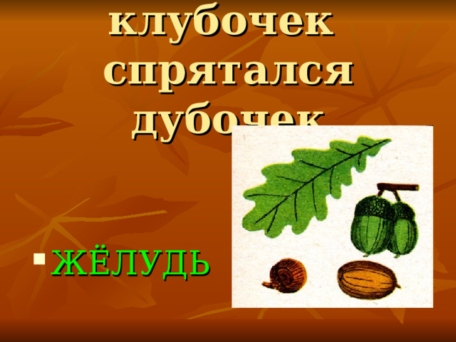 В золотой клубочек  спрятался дубочек ЖЁЛУДЬ 