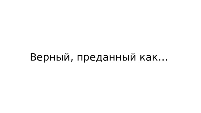Верный, преданный как… 