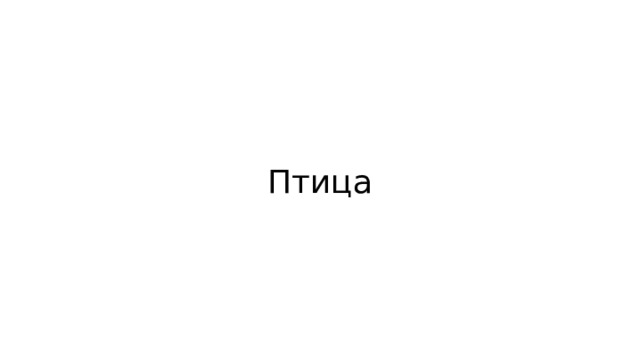 Птица 