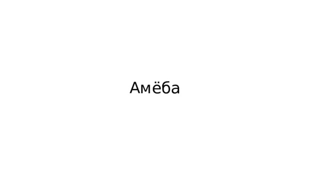 Амёба 
