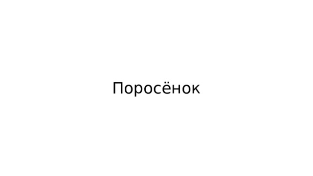 Поросёнок 