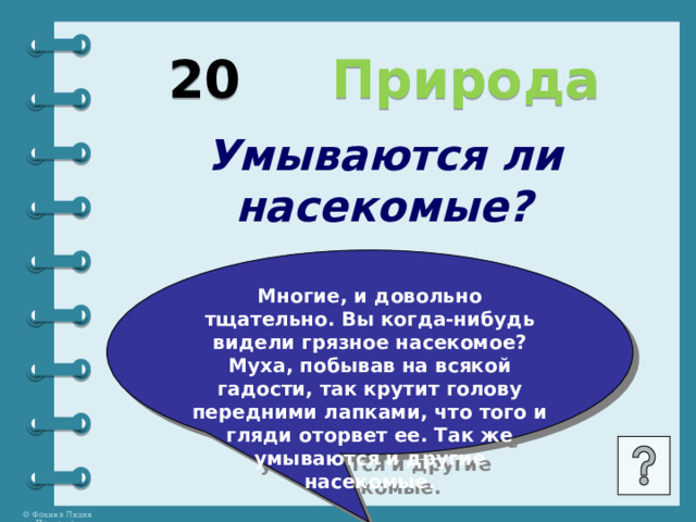 20  Природа Умываются ли насекомые? Многие, и довольно тщательно. Вы когда-нибудь видели грязное насекомое? Муха, побывав на всякой гадости, так крутит голову передними лапками, что того и гляди оторвет ее. Так же умываются и другие насекомые.  