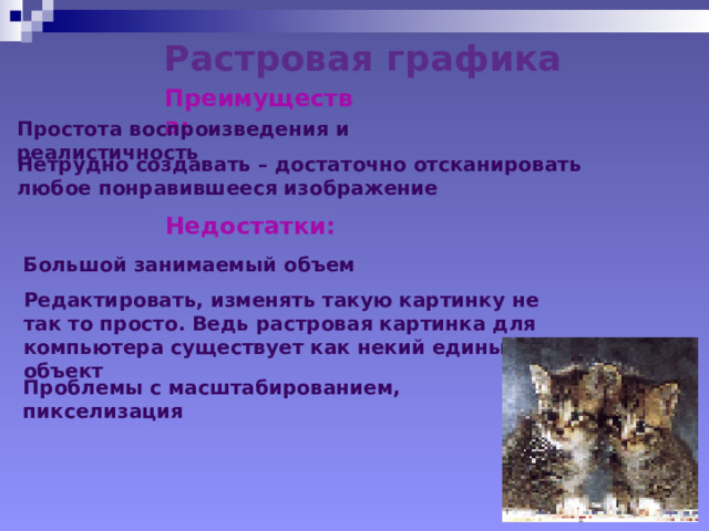 Растровая графика Преимущества: Простота воспроизведения и реалистичность Нетрудно создавать – достаточно отсканировать любое понравившееся изображение Недостатки: Большой занимаемый объем Редактировать, изменять такую картинку не так то просто. Ведь растровая картинка для компьютера существует как некий единый объект Проблемы с масштабированием, пикселизация  