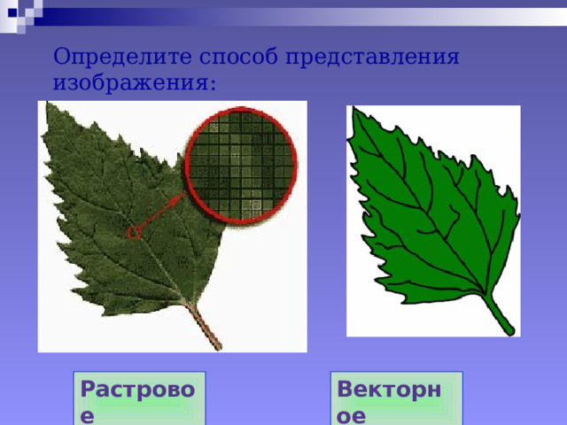 Определите способ представления изображения: Растровое Векторное 