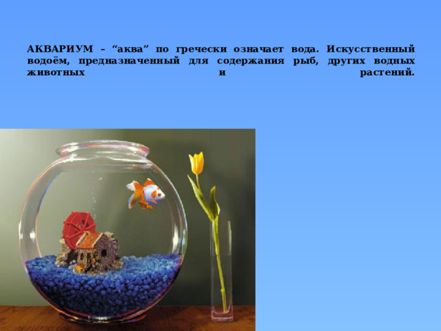 АКВАРИУМ – “аква” по гречески означает вода. Искусственный водоём, предназначенный для содержания рыб, других водных животных и растений.   