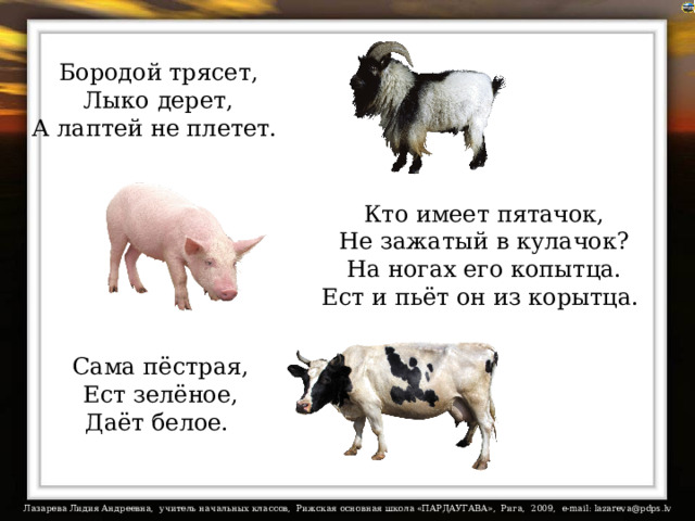 Бородой трясет,  Лыко дерет,  А лаптей не плетет. Кто имеет пятачок,  Не зажатый в кулачок?  На ногах его копытца.  Ест и пьёт он из корытца. На загадки настроены триггеры. Сама пёстрая,  Ест зелёное,  Даёт белое.  