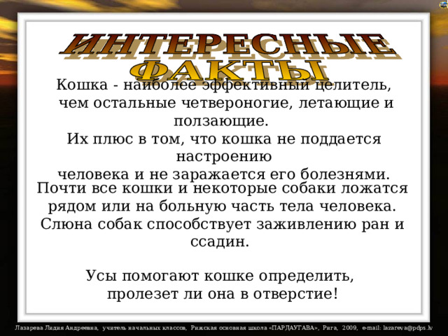 Кошка - наиболее эффективный целитель,  чем остальные четвероногие, летающие и ползающие. Их плюс в том, что кошка не поддается настроению  человека и не заражается его болезнями. Почти все кошки и некоторые собаки ложатся рядом или на больную часть тела человека. Слюна собак способствует заживлению ран и ссадин.   Усы помогают кошке определить, пролезет ли она в отверстие!   