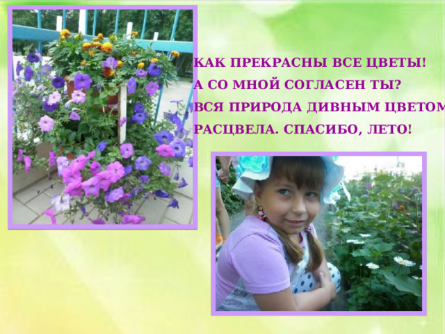 КАК ПРЕКРАСНЫ ВСЕ ЦВЕТЫ! А СО МНОЙ СОГЛАСЕН ТЫ? ВСЯ ПРИРОДА ДИВНЫМ ЦВЕТОМ РАСЦВЕЛА. СПАСИБО, ЛЕТО! 