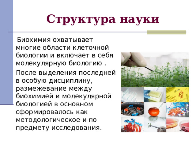 Структура науки  Биохимия охватывает многие области клеточной биологии и включает в себя молекулярную биологию .  После выделения последней в особую дисциплину, размежевание между биохимией и молекулярной биологией в основном сформировалось как методологическое и по предмету исследования. 